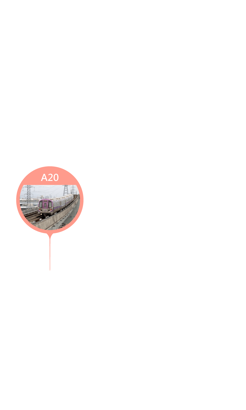 A20